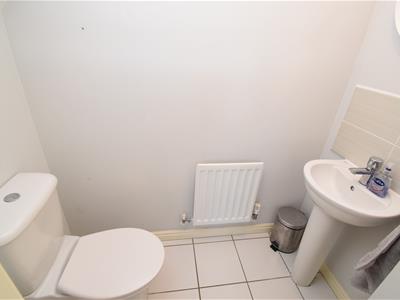 Picture 11